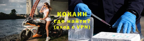 дживик Алексин