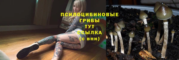 дживик Алексин
