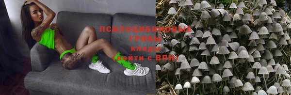 ALPHA PVP Алзамай