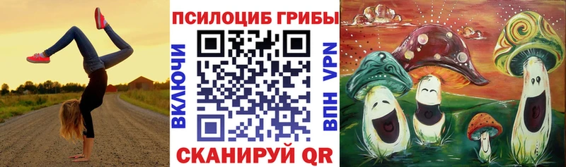 Галлюциногенные грибы прущие грибы  даркнет формула  Артёмовский 